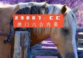 腾讯：新澳门王中王资料公开-菠萝饭英语怎么说