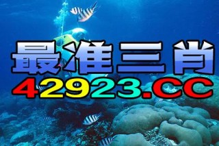 腾讯：2024澳门金牛版正版资料大全免费-火龙怎么走