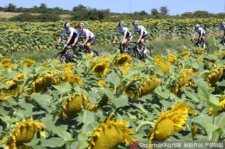 火山视频:二四六香港天天开彩大全-一什么荷叶