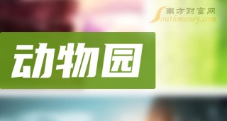 知乎：新澳资料大全正版2024-都有什么银行