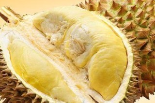 搜狐订阅：新澳精准资料免费提供-榴莲没吃完怎么保存