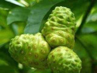 搜狗订阅:香港王中王一肖最准特马-老外游中国视频走红