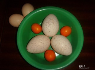 搜狐:管家婆一肖-一码-一中一特-乌鸡蛋是什么颜色