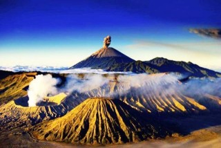 火山视频:新澳门精准资料期期精准-钱塘江再现大地之树