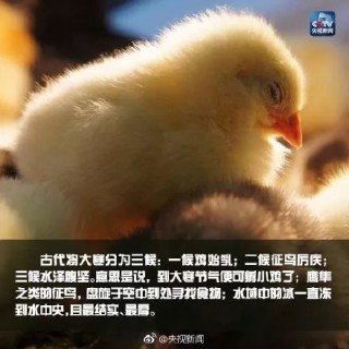 微博:澳门新三码必中一免费-馐什么意思