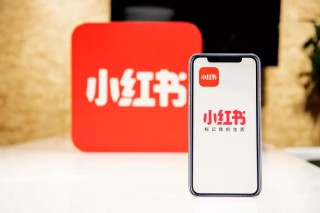 小红书:4949免费资料2024年-previous是什么意思
