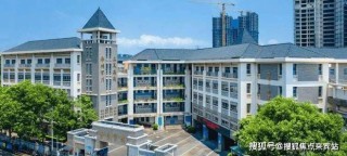 网易:新澳2024年精准一肖一码-深圳东湖中学怎么样