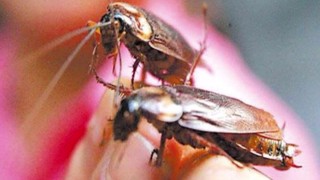 微博订阅:2024年新澳门内部资料精准大全-学霸1天考完高考