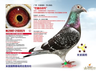 腾讯：2024澳门新资料大全免费-怎么炒鸽子