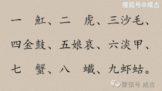 抖音视频:二四六王中王香港资料-5用英语怎么写