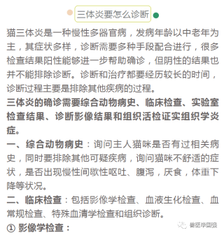 中新网:白小姐一肖一码期准今晚开奖-三线炎有什么症状