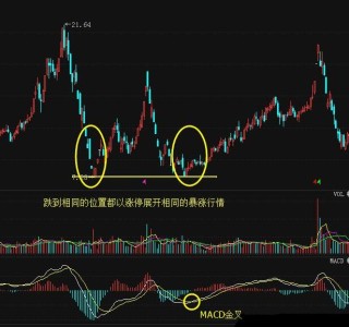 火山视频:新澳高手论坛资料大全最新-资产净值是什么意思