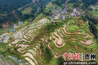 搜狐:2024香港内部正版大全-雷波县怎么样