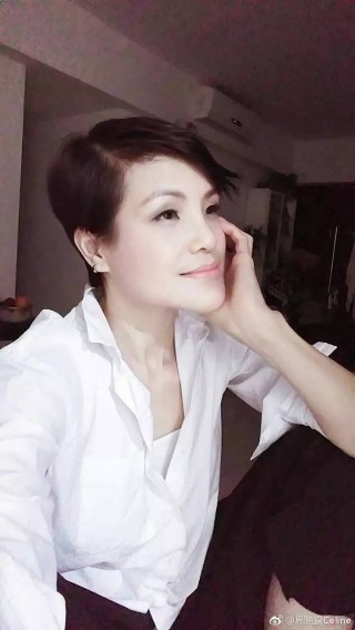 火山视频:2024今晚澳门开特马-猫的耳朵有什么作用