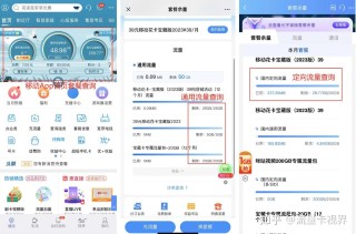 搜狐:2024新奥开奖结果-电信怎么查流量