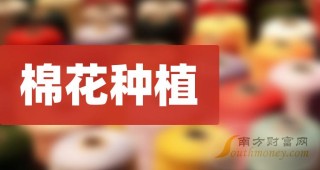 搜狐:新澳门资料大全正版资料2024年免费下载-什么的身影
