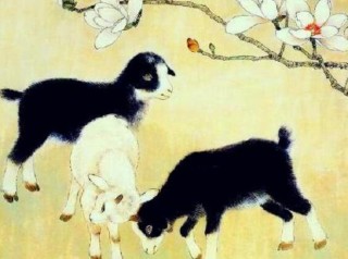 微博:澳门免费公开资料大全-属羊男和什么属相最配