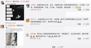 微博订阅:新澳门免费资料大全历史记录开马-A股疑似再现杀猪盘