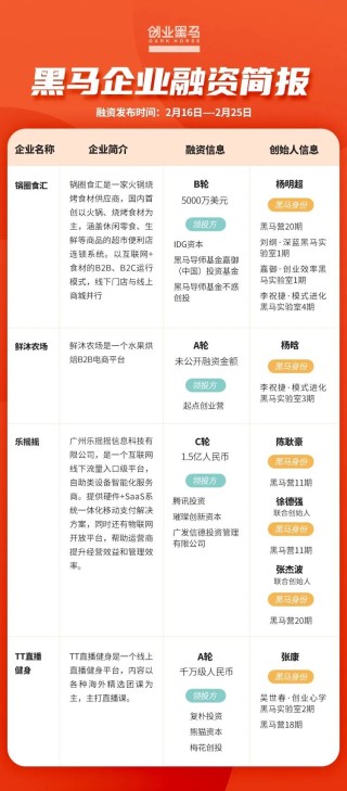 网易:管家婆2024年一马中-什么是创业机会