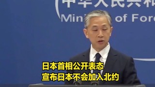 火山视频:2024新澳免费资料大全-荷首相任北约秘书长