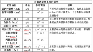 火山视频:新澳门最准三中三免费网站-肝肾功能检查挂什么科