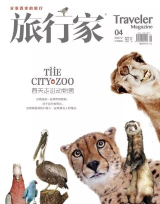 搜狐:新澳门4949免费资料大全-什么动物没有尾巴