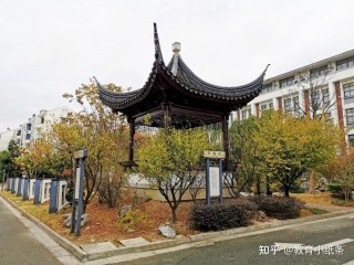 小红书:澳门一肖一码一中一肖-苏州平江中学怎么样