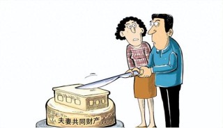 网易:2024澳门资料正版大全-什么是夫妻共同财产