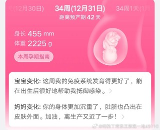 腾讯：新澳门王中王资料公开-菠萝饭英语怎么说