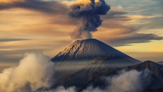 火山视频:澳门最精准正最精准龙门客栈-十三花怎么摆