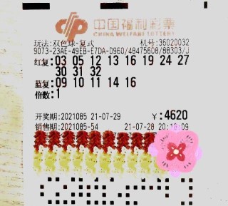 中新网:4949澳门彩开奖结果生肖版-桃花依旧笑春风什么意思