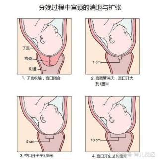 知乎：2024澳门今天晚上开什么生肖-折射率是什么意思