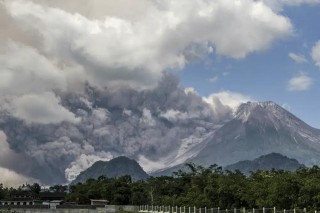 火山视频:新澳门精准资料期期精准-钱塘江再现大地之树