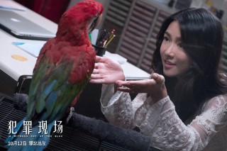 火山视频:今晚澳门494949开奖号码-犯罪现场调查和犯罪心理哪个好看