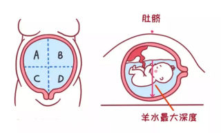 百家号:白小姐四肖四码100%准-羊水是什么