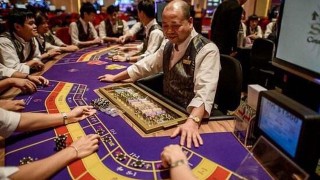 知乎：澳门一肖必中一码100准-月光是哪个电视剧的