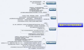 搜狐订阅：澳门资料大全正版资料2024年免费-衣食父母是什么意思