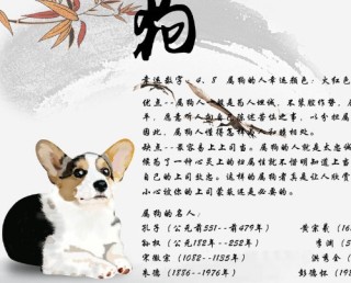 搜狐:白小姐四肖四码100%准-70年属狗的是什么命