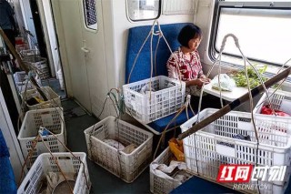 腾讯：2024澳门天天开好彩资料-火车软卧上铺怎么上去
