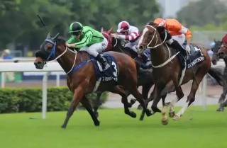 阿里巴巴:香港免费资料大全-豪7哪个电影