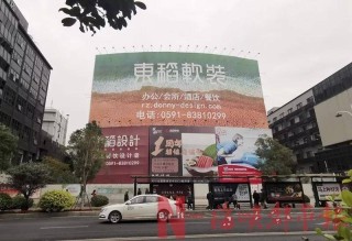 知乎：2024澳门王中王100%的资料-什么鸟不会飞脑筋急转弯