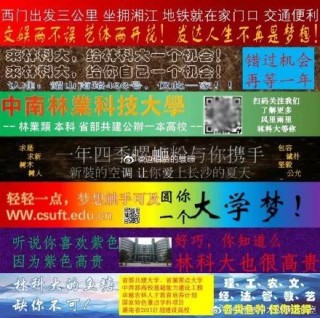 小红书:新澳门资料大全正版资料-农业神哪个朝代