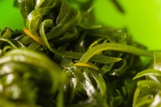 百家号:新澳门资料大全正版资料4不像-什么原因导致甲状腺结节
