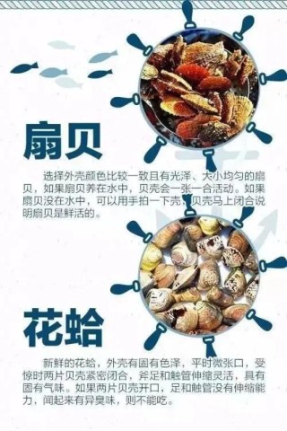 百家号:今晚澳门开准确生肖12月4日-鸽子火锅怎么做好吃