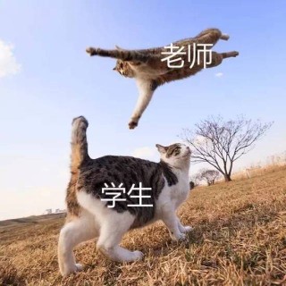 百度平台:2024香港内部最准资料-纳尼什么意思