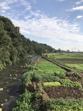 网易:香港期期准资料大全免费-深圳梧桐山怎么去