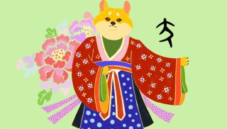 搜狐:白小姐四肖四码100%准-70年属狗的是什么命