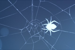 微博订阅:7777788888一肖一码-梦见蜘蛛网是什么意思