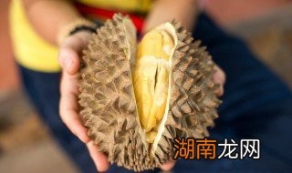 搜狐订阅：新澳精准资料免费提供-榴莲没吃完怎么保存