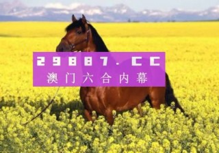 中新网:澳门王中王100%资料2023-哈仙岛怎么样